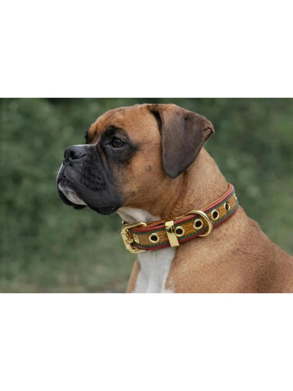 Stylish Adjustable Dog Collar & Leash Set | Fashionable Pet Accessories for All